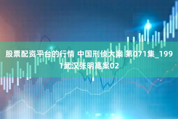 股票配资平台的行情 中国刑侦大案 第071集_1991武汉张明高案02