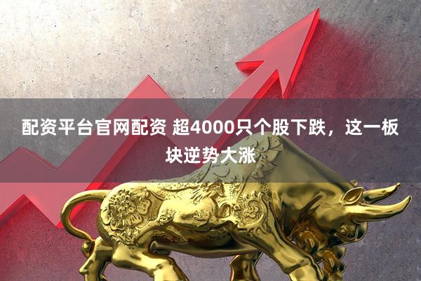 配资平台官网配资 超4000只个股下跌，这一板块逆势大涨