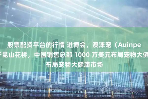 股票配资平台的行情 进博会，澳涞宠（Auinpet）落子昆山花桥，中国销售总部 1000 万美元布局宠物大健康市场